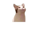 meme-cats