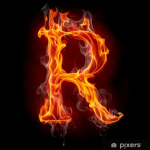The Rex Club Group