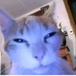 J33B