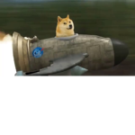 Destruction Doge's Kingdom