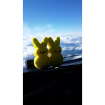 The Flying Peeps