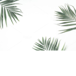 VibingJulia11