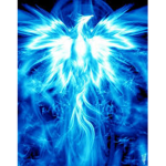 The Rising Blue Phoenixes