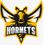 DC hornets GBG gang
