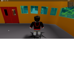 the raceing game