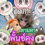 ติดเกาะ ตามหาพั้นช์คุง 🐵