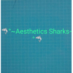 ~Aesthetics Sharks~