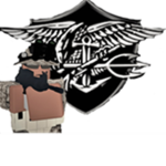 Special Task Force Team