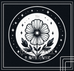 Nu Flower Official Studio
