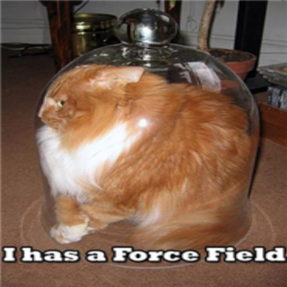 funny cat Roblox decal