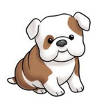 Mystic Doge Clothing