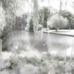 ⋆｡˚୨୧˚｡⋆