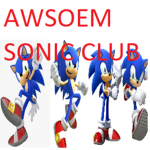 The awsome sonic group
