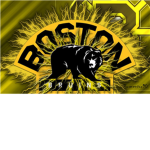 ™Boston Bruins