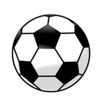 Top Ro-Sports Organizations