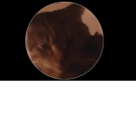 EEEEEEEEEEEE EEEEEEEEEEEE EEEEEEEEEEEE EEEEEEEEEEE