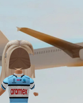 Frankies airline~