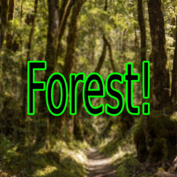Forest!