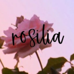 rosilia