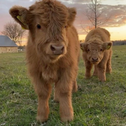 <3