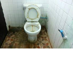 publik bathrom gaem
