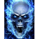 Skull DAWGS