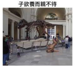 人生勝利組