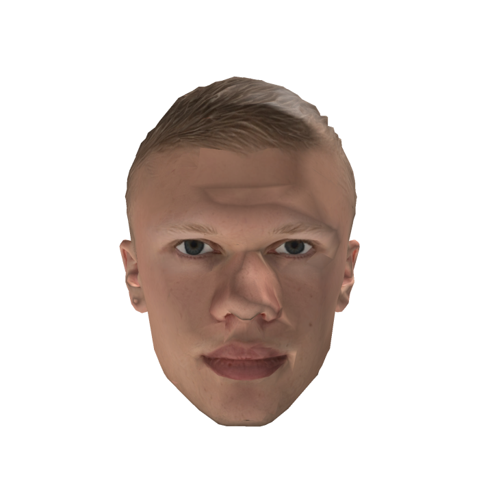 Haaland