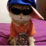 Wilo