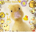 Ducky Squad HQ