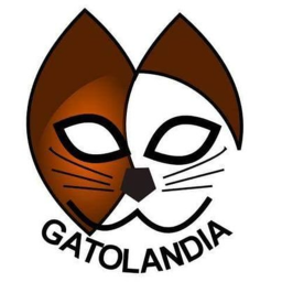 The War In GatoLandia