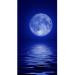 Midnight madness~