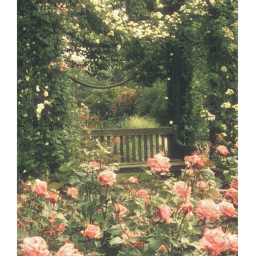+*aesthetic+*