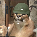 Floppa Military Official
