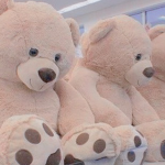 Teddy's Store