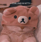 Chilling With Kitty