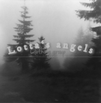 Lotta's Angels