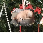 the sleeping puppies