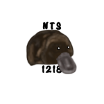 NTS 1218