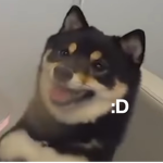 .:Doggo Group:.