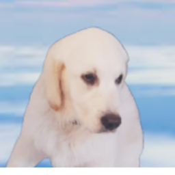 marley obby