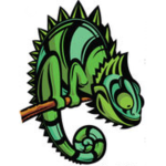 #Chameleon Squad