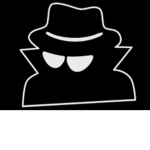 The Organization of Secrets