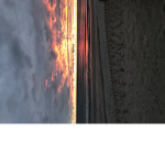~sunset pandas~