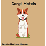 Corgi Hotels