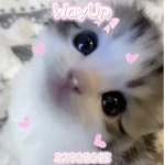 WayUp