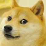 Man of the doge