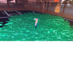 selling and trading