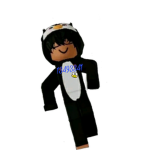 Dh Pinguin Gang