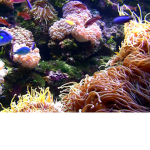 Fishy!!!!!!!!!